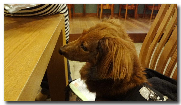 20130427042846.JPG