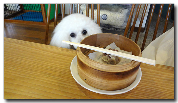 20130428060647.JPG