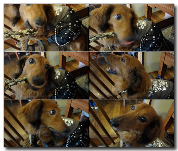 20130428060716.jpg