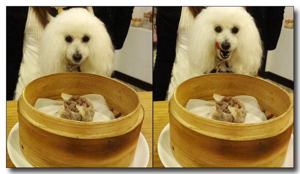 20130428060719.jpg