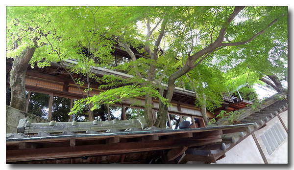 20130429095118.JPG