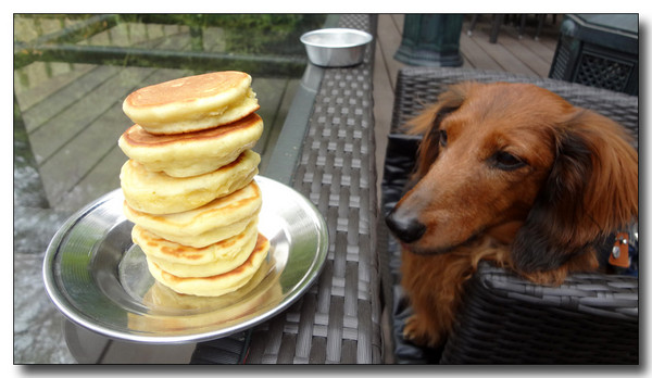 20130429095152.JPG