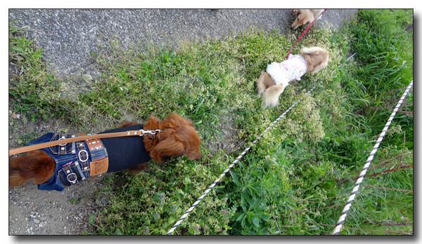20130429182614.JPG