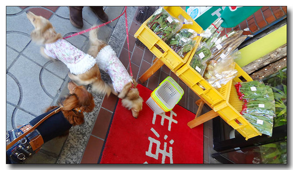20130429182616.JPG