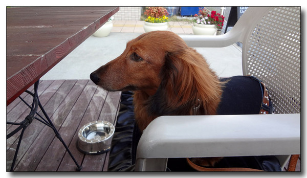 20130430071313.JPG