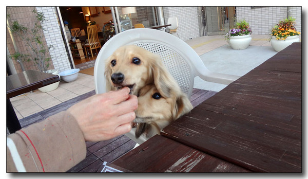 20130430071412.JPG