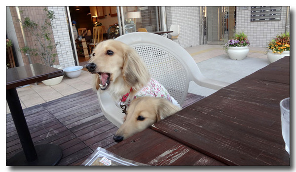 20130430071413.JPG