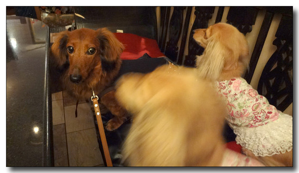 20130430083546.JPG