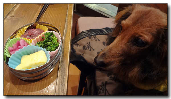 20130502093637.JPG