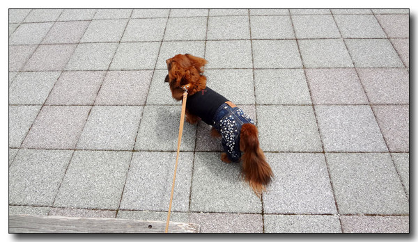 20130506101609.JPG