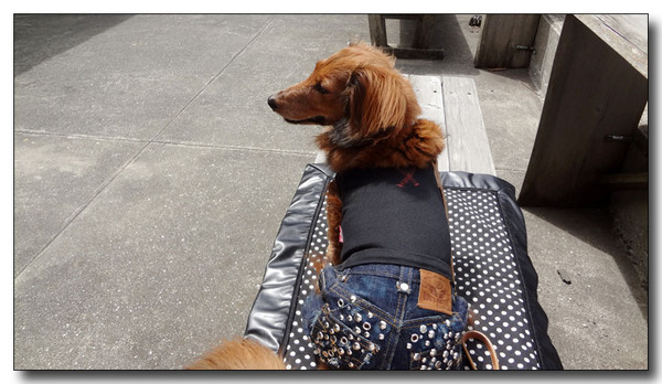 20130506101613.JPG