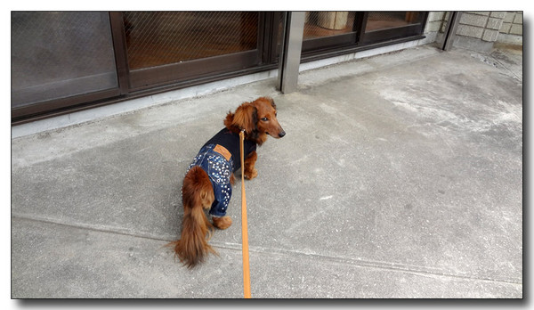 20130506101636.JPG