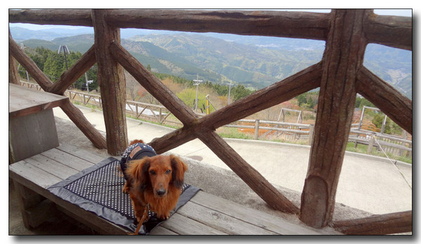 20130506101639.JPG