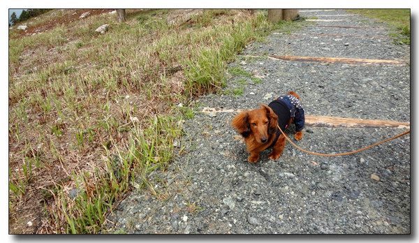 20130506102228.JPG