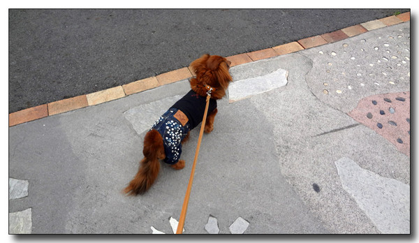 20130506225227.JPG