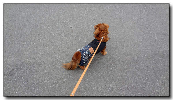 20130506225259.JPG