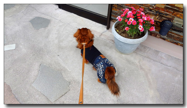 20130506225301.JPG