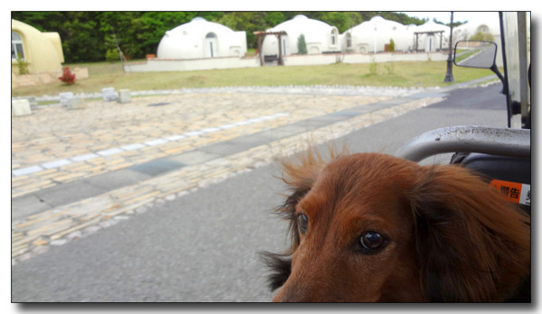 20130506225333.JPG