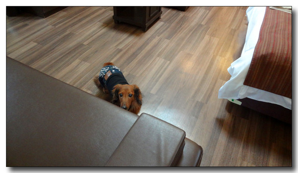 20130506230325.JPG