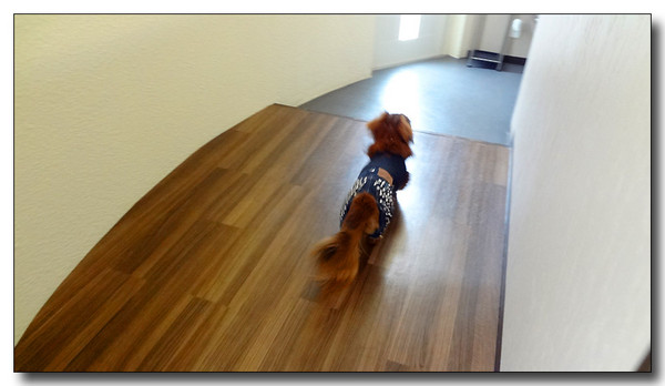 20130506230454.JPG