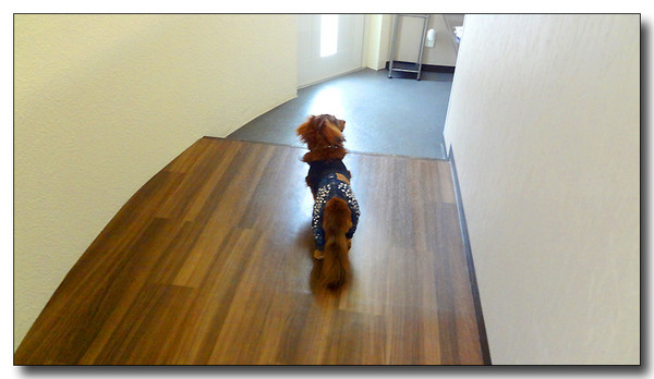 20130506230455.JPG