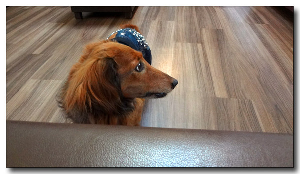 20130506230457.JPG