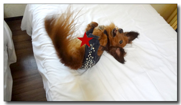 20130506231615.JPG