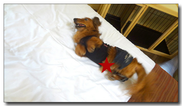 20130506231617.JPG