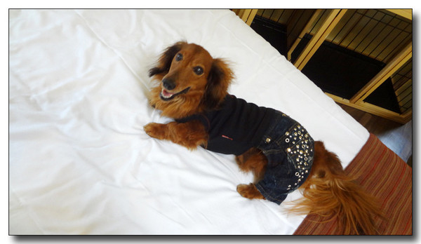 20130506231638.JPG