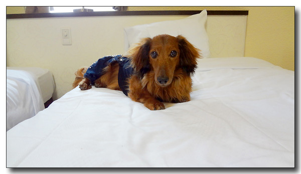 20130506231709.JPG