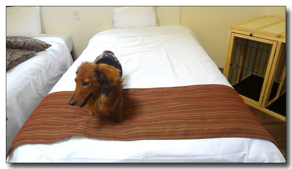 20130506231711.JPG