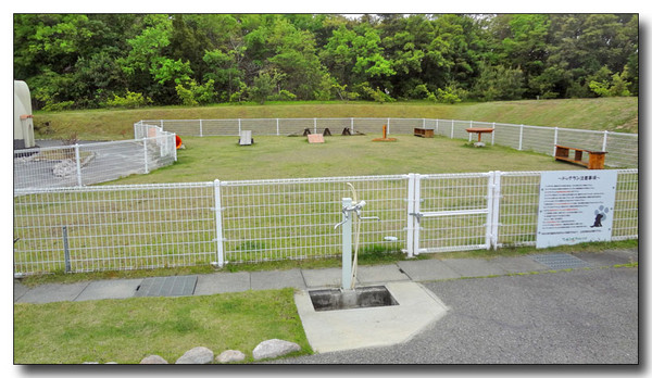 20130506234817.JPG