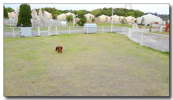 20130506234818.jpg