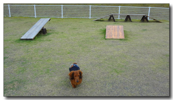 20130506234859.JPG