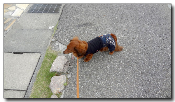 20130506234903.JPG