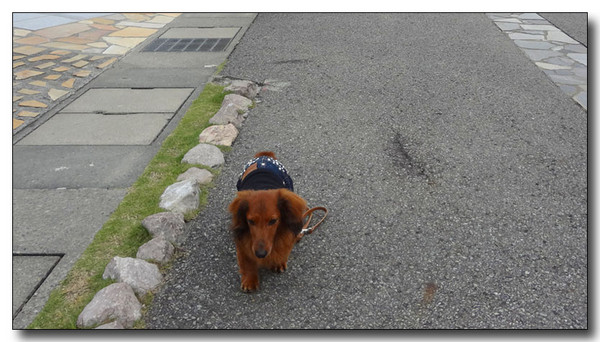 20130506235121.JPG