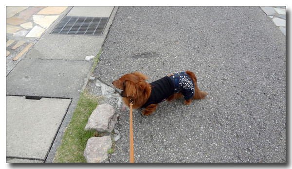 20130506235656.JPG