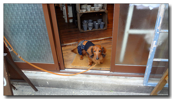 20130507130515.JPG