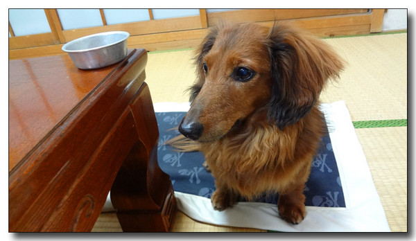 20130507152958.JPG