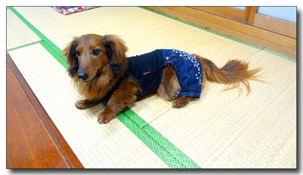 20130507153107.JPG