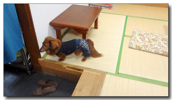 20130507153108.JPG