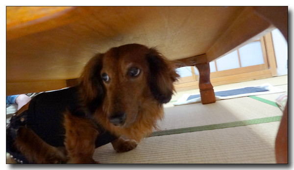 20130507153124.JPG