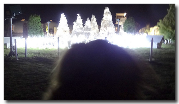 20130508173607.JPG