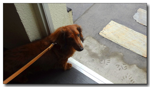 20130508175149.JPG