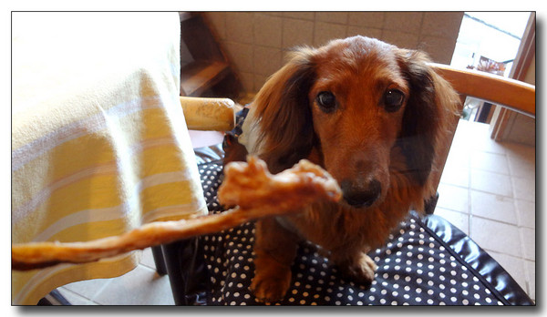 20130508222815.JPG