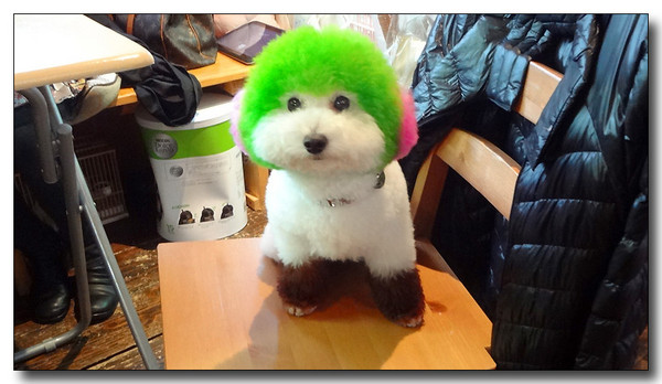 20130508223514.JPG