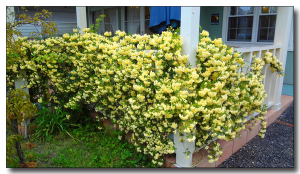 20130509070720.JPG