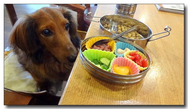 20130510071030.JPG