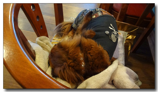 20130510071107.JPG