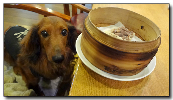 20130510071137.JPG